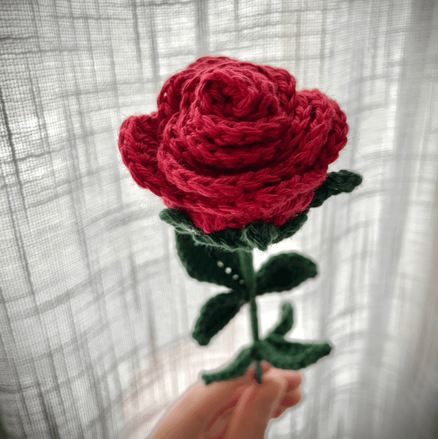 Ma rose 